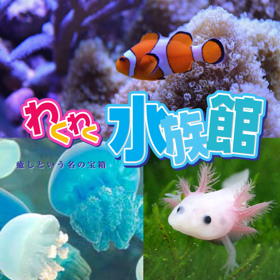 わくわく水族館