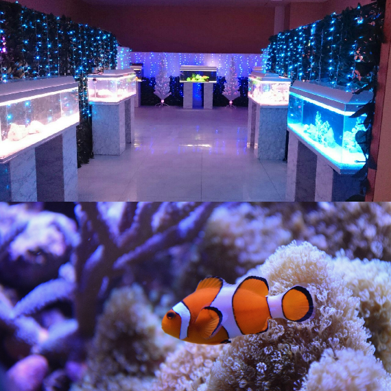 わくわく水族館