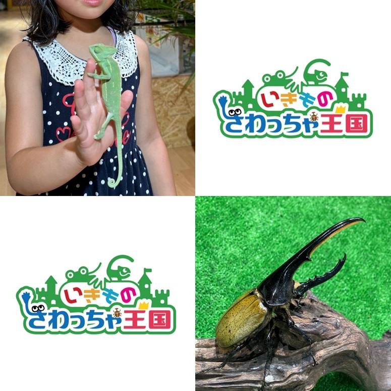 いきものさわっちゃ王国