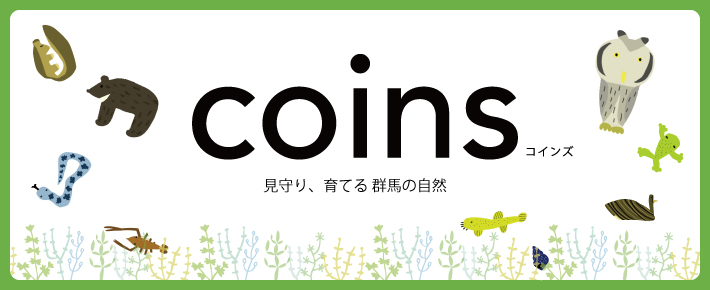 2018 coins